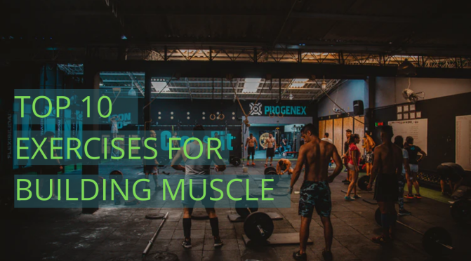 TOP 10 EXERCISES FOR BUILDING MUSCLE